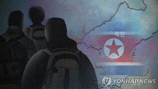 S. Korea keeping close tabs on reported repatriation of N.K. defectors from China: minister