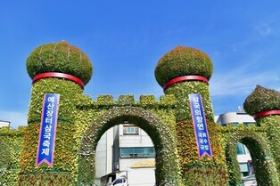 [픽! 예산] '핫플레이스' 예산시장, 국화 향기로 가득