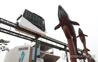 "울산 매력 알려요" 중국 인플루언서 초청해 관광지 홍보