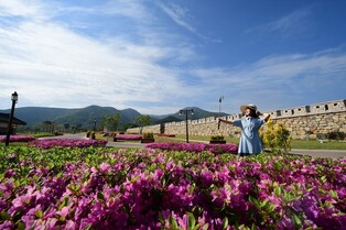 경북 대표관광 왕중왕에 '경산 소원성취·청도 명소' 연계 상품