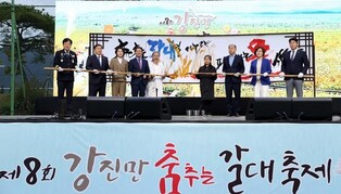 강진만 춤추는 갈대축제…몰려든 방문객 가을 만끽