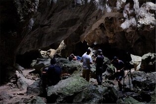 20년간 동시대 예술 변화 이끈 작가들 회고전…옵/신 페스티벌