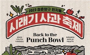 '청춘양구 펀치볼 시래기 사과축제' 28∼29일 해안면서 개최