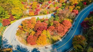 '깊어지는 가을'…단양 보발재 단풍 내주 중반 절정
