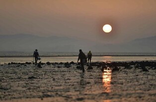 전남 지역 갯벌·피란수도 부산 흔적, 세계유산 잠정목록 등재