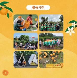 제주 감귤박물관으로 '귤빛 놀빛 가을소풍' 떠나요