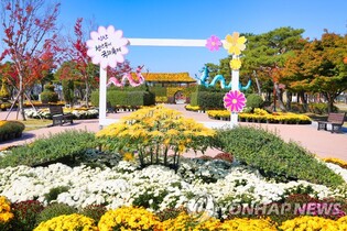 무르익는 가을빛…'제20회 익산 천만송이 국화축제' 화려한 개막