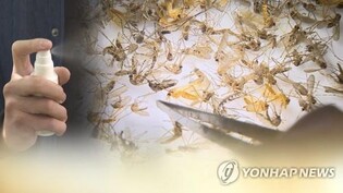 S. Korea's malaria cases reach highest level in 12 yrs
