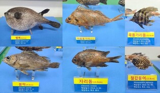 수과원, 독도의 날 기념 사진전·워크숍 개최