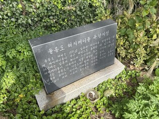 수풀 속 일제의 침탈 흔적…"독도 연구, 울릉도서 답 찾아야"