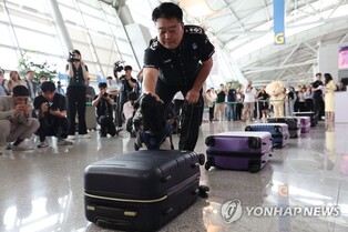 Drugs smuggled in through Incheon Airport surge since pandemic: lawmaker