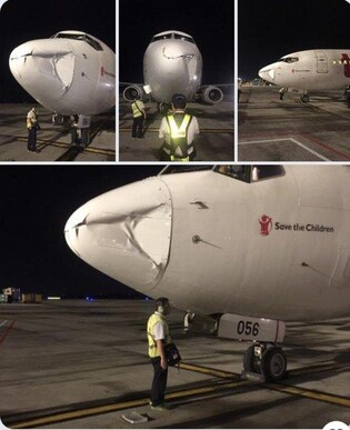 500 bird strikes reported in past 5 years: data