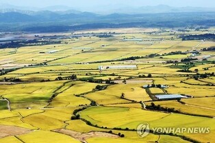 [굽이굽이 별천지] 6·25전쟁 상처 극복하고 도약하는 철원읍