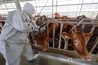 (2nd LD) Additional batch of LSD vaccine arrives in S. Korea