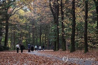 Warmest November temperatures recorded nationwide