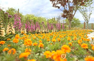 전북투어패스 관광객에 큰 호응…이용객 96% 재구매 의사