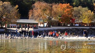 백담사, 목조아미타여래좌상 재조명 학술대회 4일 개최