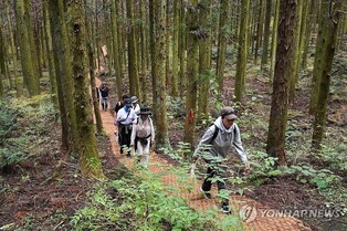 제주 성산 11월 일 최고기온 이틀째 경신…어제보다 0.8도↑