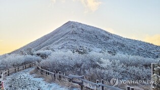Season's first ice, frost seen in Seoul amid cold snap