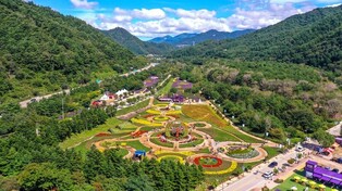 가을꽃 축제부터 용대리 겨울까지…미시령 힐링가도 사진상 선정