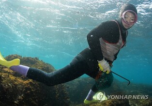 Jeju female divers 'haenyeo' listed as FAO agricultural heritage system