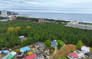 [굽이굽이 별천지] 주민 손으로 산을 쌓다…솔숲 우거진 양양 조산리