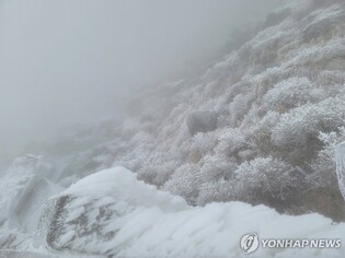 1st snow of season falls on Mount Halla amid cold snap