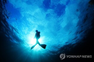 제주해녀 문화·삶 집대성한 대백과사전 발간 추진