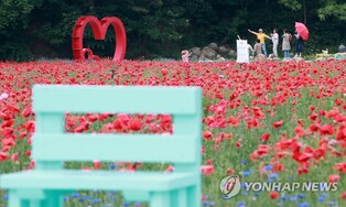 '개최 시기 분산·시너지 강화'…원주 사계절 축제 도시로