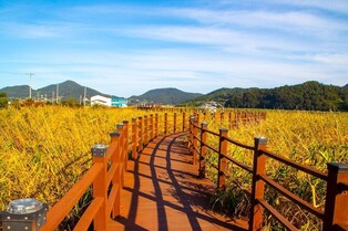 전남도, '만추의 정취' 산책 명소 4곳 선정