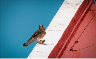 울산시, 15∼20일 '2023년 생물다양성 사진 전시회 개최