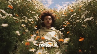 신세계인터내셔날, 글로벌 친환경 브랜드 '판가이아' 국내 유통