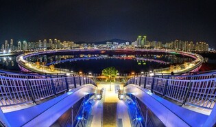 세종 이응다리 '밤밤곡곡 100선' 선정…"야간관광 활성화 기대"