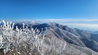 [픽! 단양] 소백산에 눈꽃 '활짝'…주요 봉우리에 3㎝ 눈