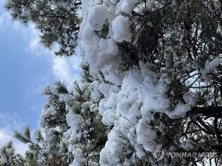 추위도 못 막는 늦가을 정취…전국 유명산·축제장 '북적'
