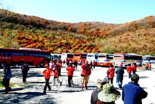 외국인 전용 서울∼전북 정기관광버스, 14년 만에 운행 중단