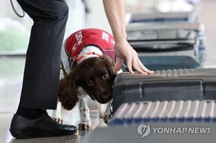 (2nd LD) Gov't unveils measures against drug crimes, including enhanced border inspection