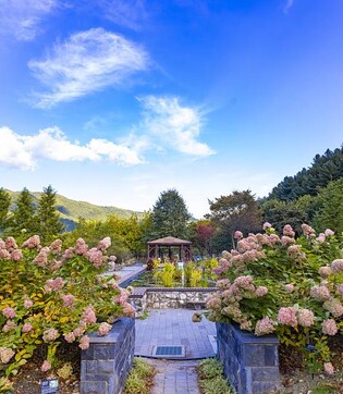 [imazine] 수목원의 가을 ② 가을빛 찬란한 경북 오지 수목원들