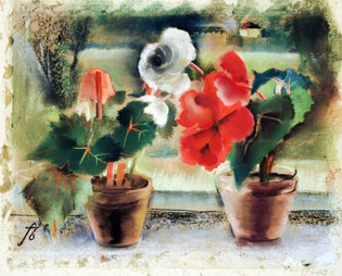 Despair in humanity, what is humanity?