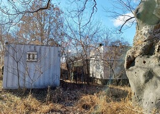 "LH 관리 세종 보호수·천연기념물 관리 허술"