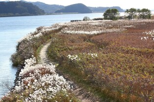 [imazine] 갈대가 있는 풍경 ① 소박함 속의 풍요로움