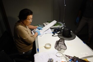 문화유산 보호에 기여한 김삼대자·김현곤 씨 은관문화훈장