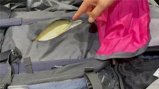 Malaysian gets 7-yr sentence for trying to smuggle meth from Cambodia