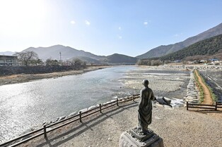 정선 아우라지에 길이 120ｍ 섶다리 놓였다