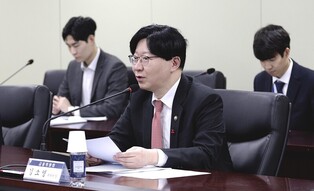 S. Korean financial firms remain insulated from overseas risks: FSC