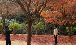 [픽! 강진] 강진 백련사, 이곳은 아직 가을