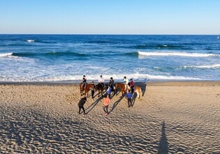 강원관광재단 주관 취미 여행 프로그램에 1천여명 참여