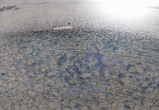 해남 앞 바다를 담은 15년차 농부화가 목포서 개인전