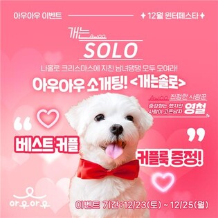 [제주소식] "반려동물과 연말을"…제주 아우아우 윈터페스타