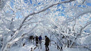 [픽!무주] 폭설이 빚은 덕유산국립공원 설경